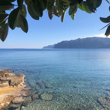 The Island House - Family Size Apt - Overlooking The Aegean - 3 Steps From The Beach Mochlos Extérieur photo